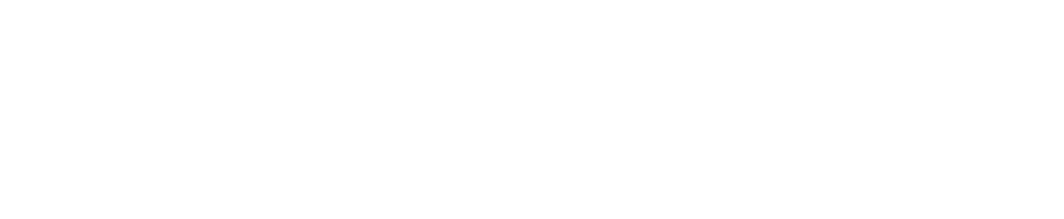 Sun City College